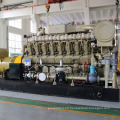 Low Fuel Consumption 100% Copper Wire Brushless 1000kw Bio Gas Generator